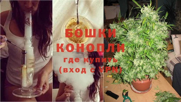 каннабис Алзамай